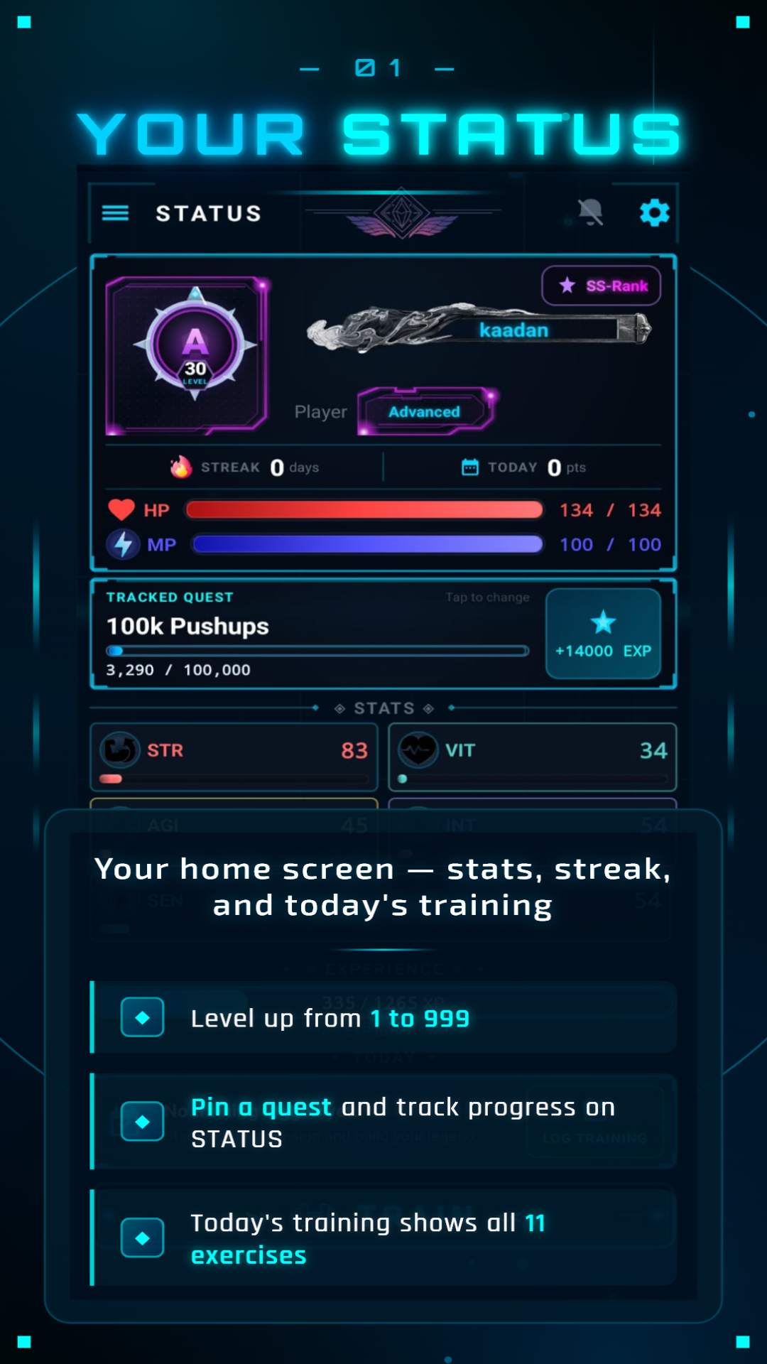 Your Status screen with level, rank badge, and pinned quest progress